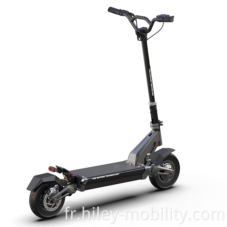 Adults Off Road Electric Scooter